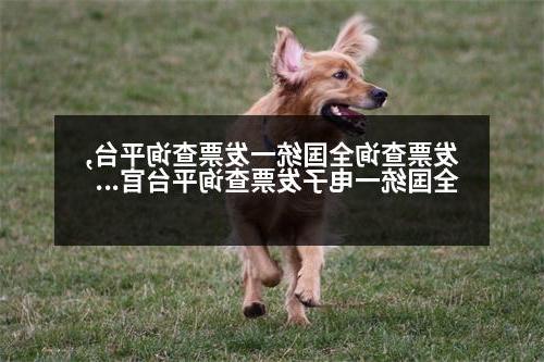 发票查询全国统一发票查询平台,全国统一电子发票查询平台官网