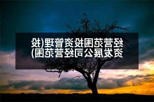 经营范围投资管理(投资发展公司经营范围)