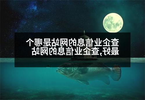 查企业信息的网站是哪个最好,查企业信息的网站