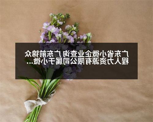 广东省小微企业查询 广东前锦众程人力资源有限公司属于小微企业吗