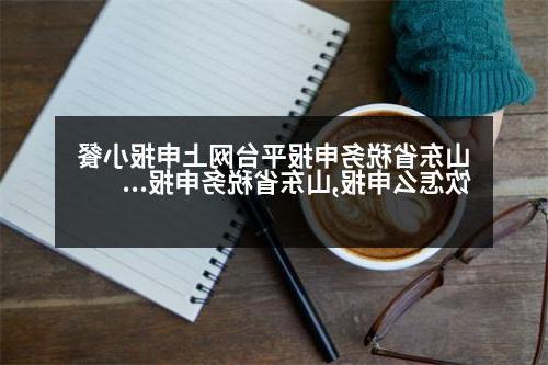 山东省税务申报平台网上申报小餐饮怎么申报,山东省税务申报平台网上申报