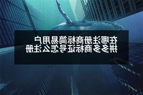 在哪注册商标简易用户 拼多多商标证号怎么注册